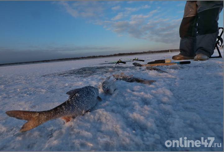 В Ленобласти проверили на прочность лед Ладожского и Судаковского озер