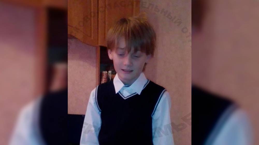 В Воронеже после выхода из школы пропал 10-летний мальчик