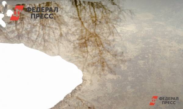 Властей Новосибирска обязали взять коллектор, откуда загрязнялась река