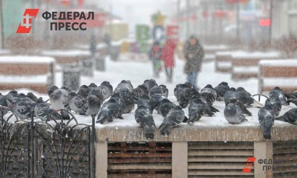 Сорокаградусные морозы придут в пять регионов Сибири