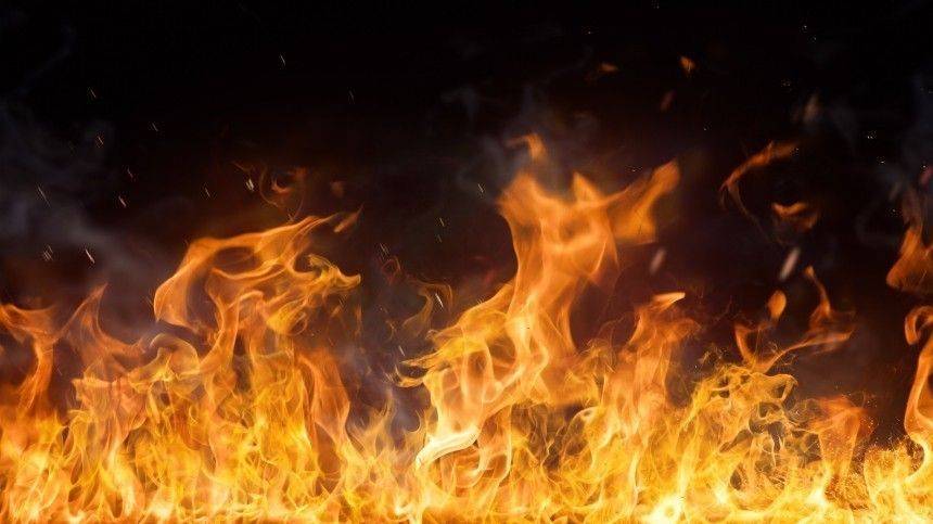 Видео: Сотрудники ДПС спасли людей из горящего дома в Приморье
