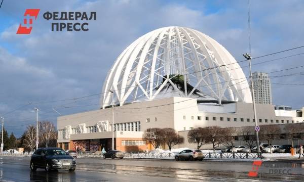 В Екатеринбурге родители взыскали с цирка 500 тысяч за травму ребенка