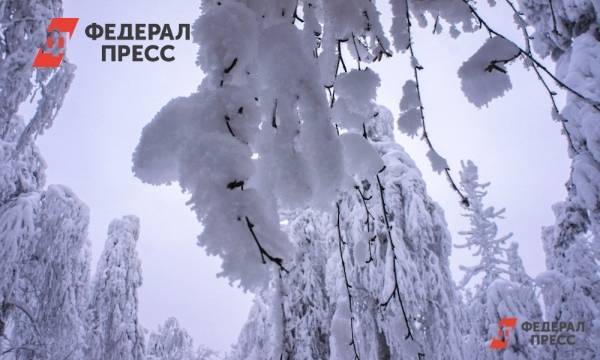 Синоптики прогнозируют 34-градусные морозы на Южном Урале