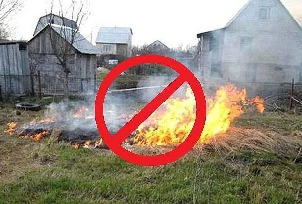 Как правильно по закону сжигать мусор на даче и в частном доме