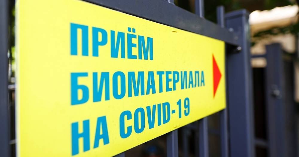 В Калининградской области коронавирус за сутки выявили в 20 муниципалитетах (список)