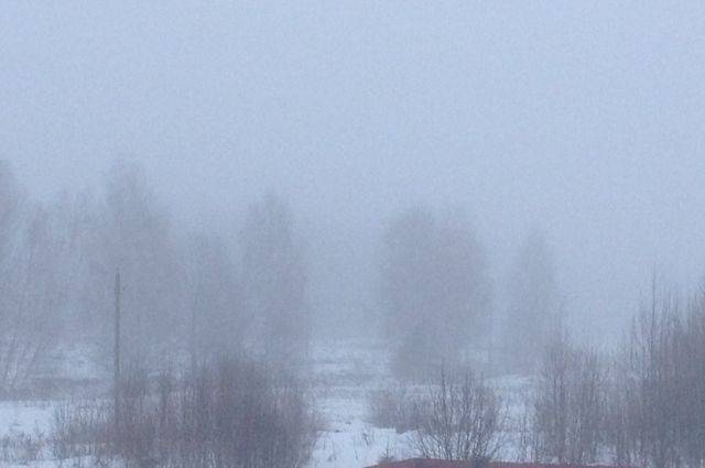 МЧС предупредило москвичей о тумане и гололеде
