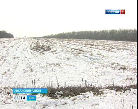 Специалисты: сильные морозы в Ростовской области не навредили озимым