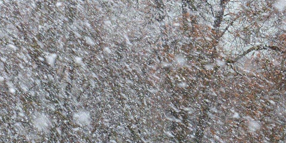Идут метели и дожди: синоптик рассказал, какие регионы Украины больше всего засыплет снегом
