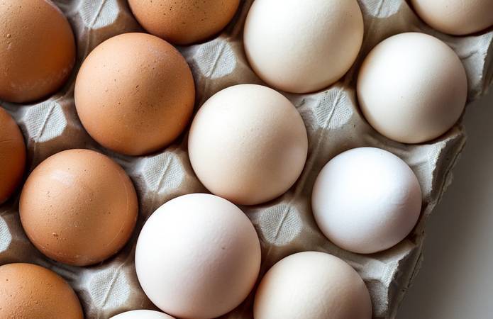 Итоги года: названы ТОП-5 покупателей яиц в Украине