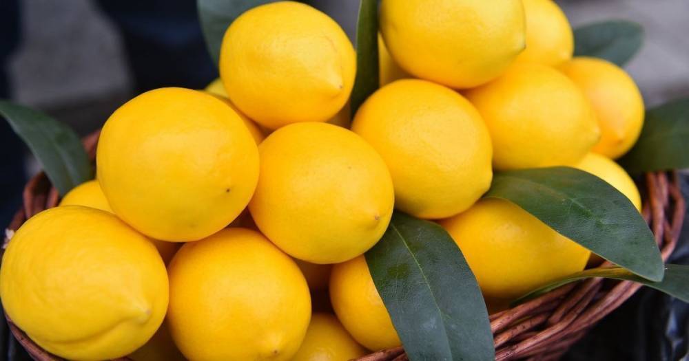 В Украине подешевели лимоны: какие цены на цитрусовые