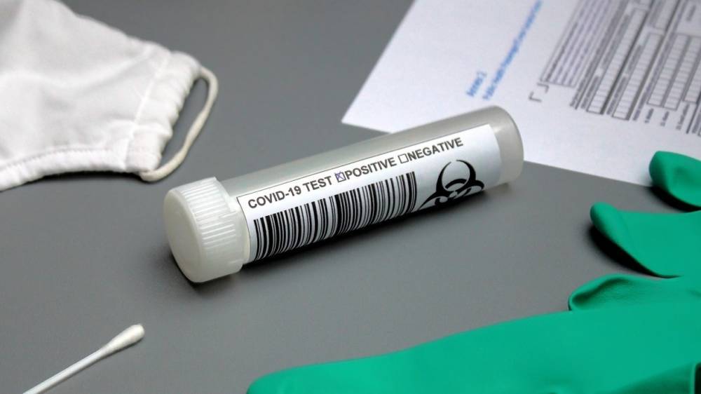 В Германии нашли первый случай заражения "бразильским" коронавирусом