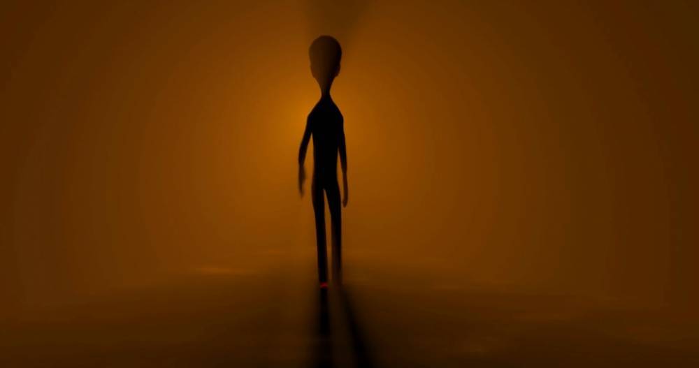 Это и есть инопланетянин?: Что скрывает одна из самых резонансных находок в пустыне (фото)