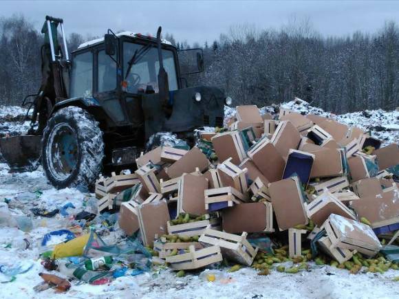 Под Калининградом уничтожили 20 тонн продуктов из Литвы