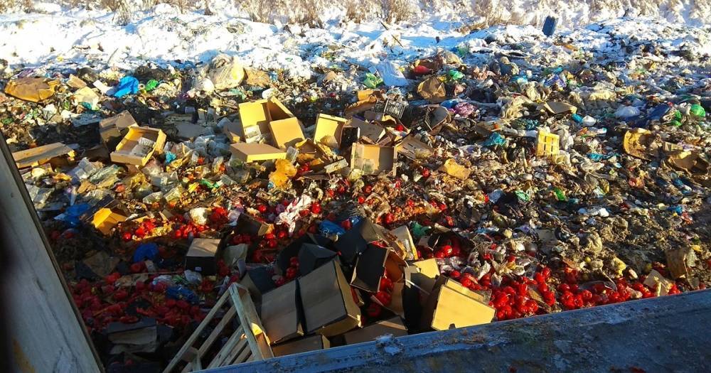 В Калининградской области уничтожили 20 тонн орехов, фруктов и овощей