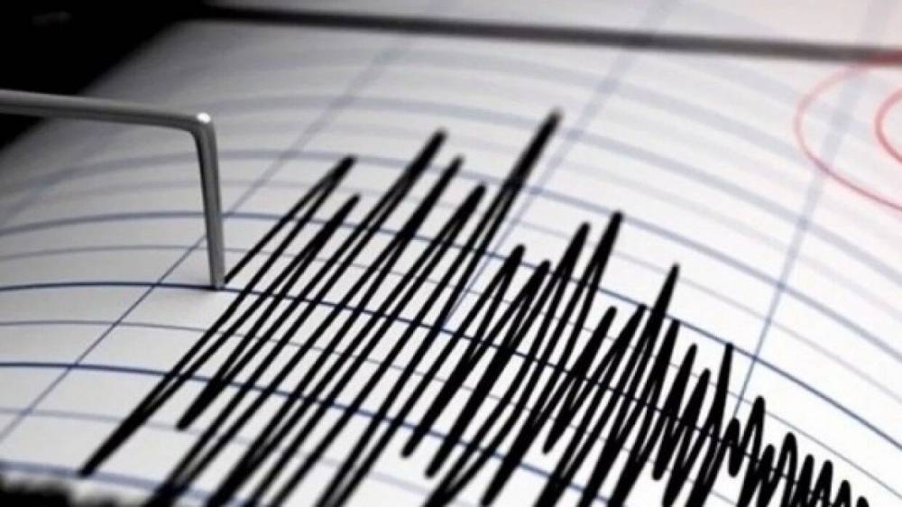 Землетрясение магнитудой 5,7 зафиксировали у берегов Новой Гвинеи
