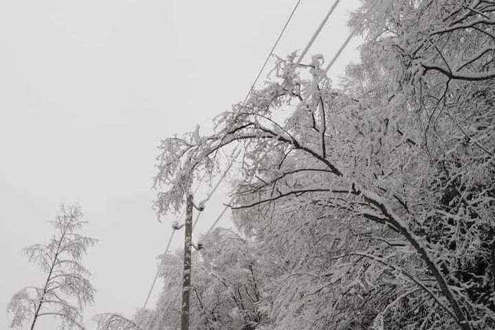 Брейтовская администрация поблагодарила Ярэнерго за ликвидацию последствий снежного циклона