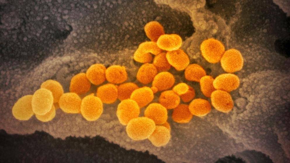 Мутация из Южной Африки: в Саксонии женщина заразила коронавирусом минимум восемь человек