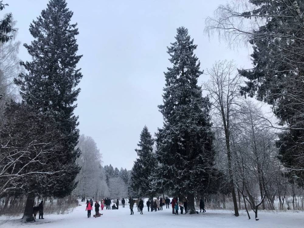 Синоптик спрогнозировал, ждать ли жителям Петербурга сильных морозов в январе