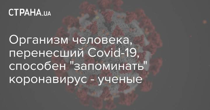 Организм человека, перенесший Covid-19, способен "запоминать" коронавирус - ученые