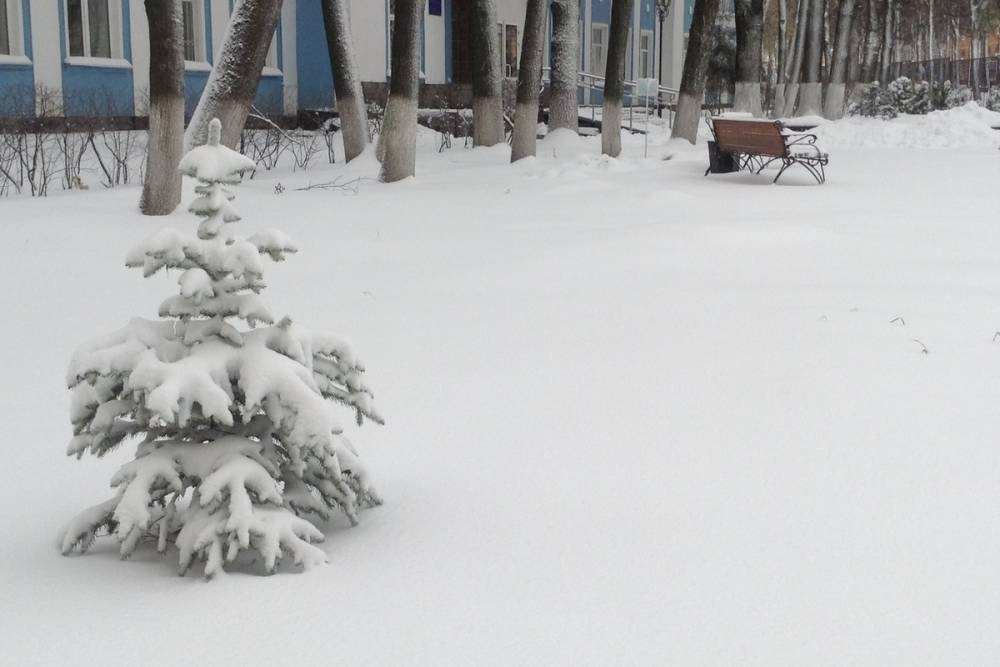 В Смоленской области погода обещала зимние дожди 24 января