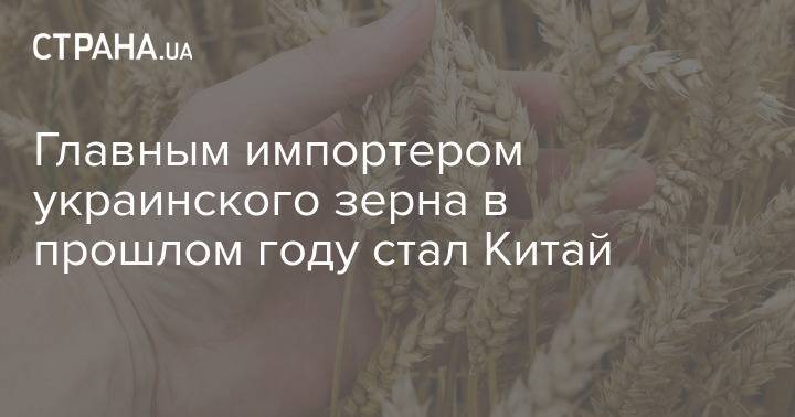 Главным импортером украинского зерна в прошлом году стал Китай