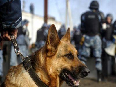 В Уфе росгвардейцы с собаками охраняли Белый дом от протестующих