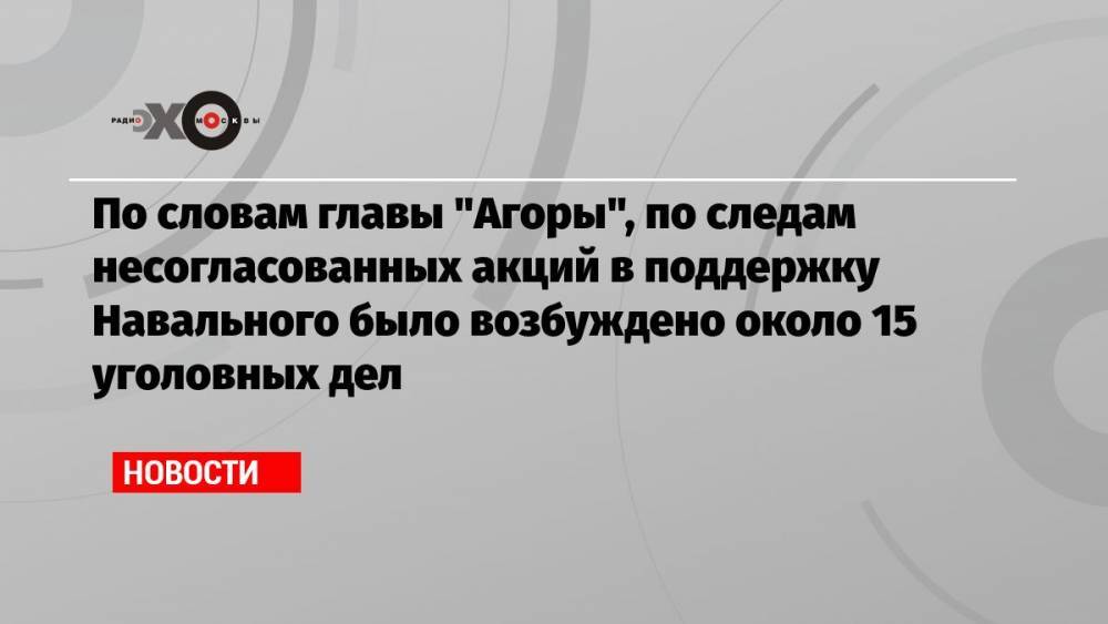 По словам главы «Агоры», по следам несогласованных акций в поддержку Навального было возбуждено около 15 уголовных дел