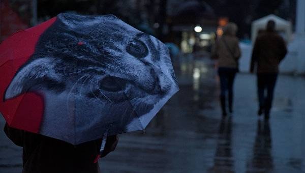 Дождливо и ветрено: какой будет погода в Крыму в понедельник