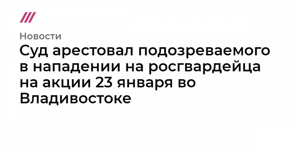 Суд арестовал подозреваемого в нападении на росгвардейца на акции 23 января во Владивостоке