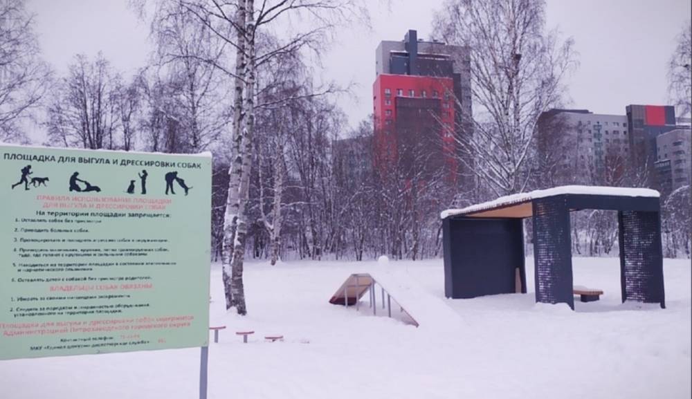 Площадку для выгула собак в Петрозаводске открыли без ограждения