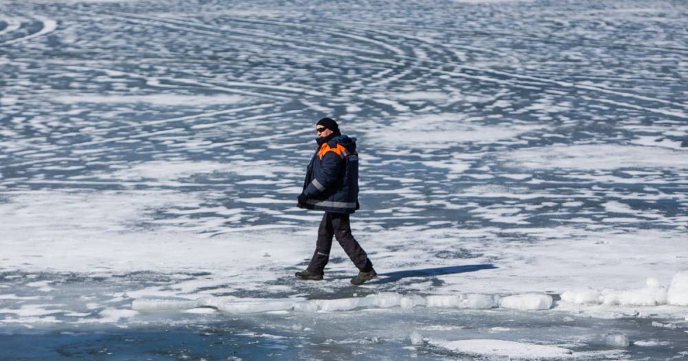 В Калининграде под лёд провалились женщина, спасавшая свою собаку