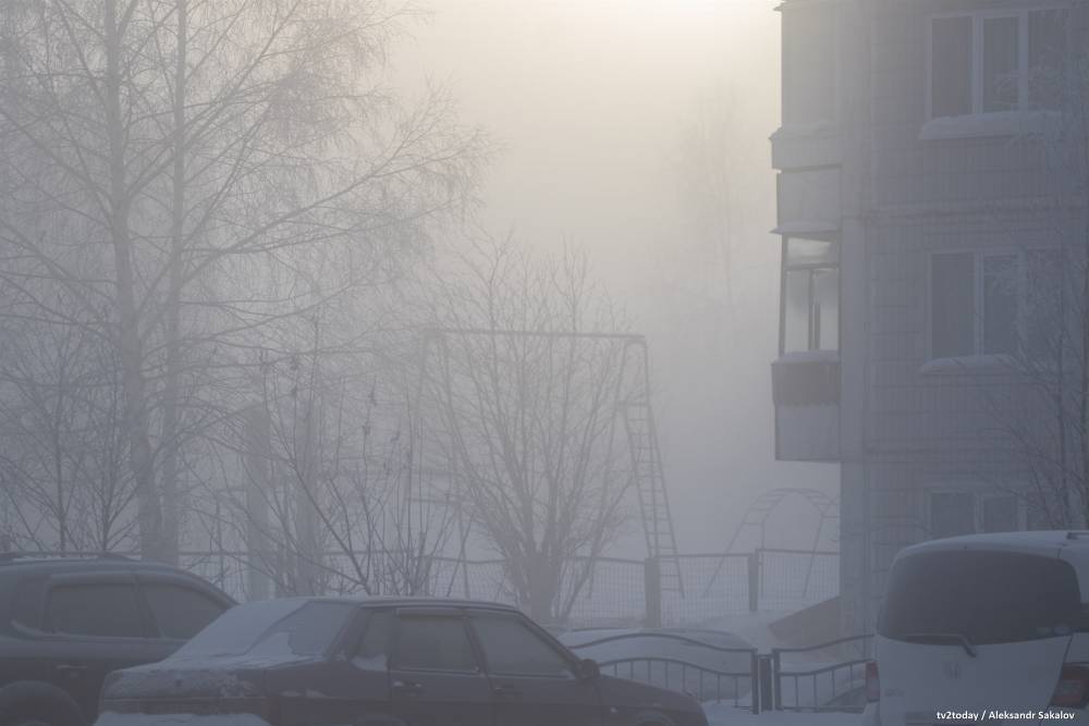 Туман окутал Томск в минус 42. Фото