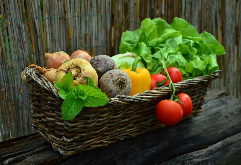 Медики рассказали о пользе употребления зелёных овощей для иммунитета человека