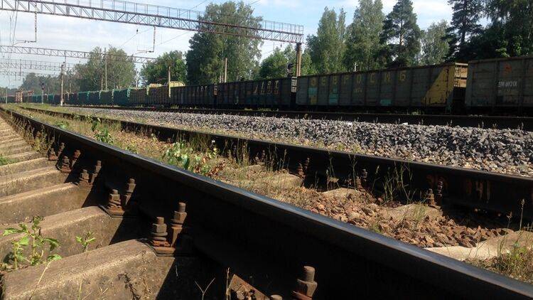 Уход транзита из РФ вынудил «Латвийскую железную дорогу» продавать рельсы