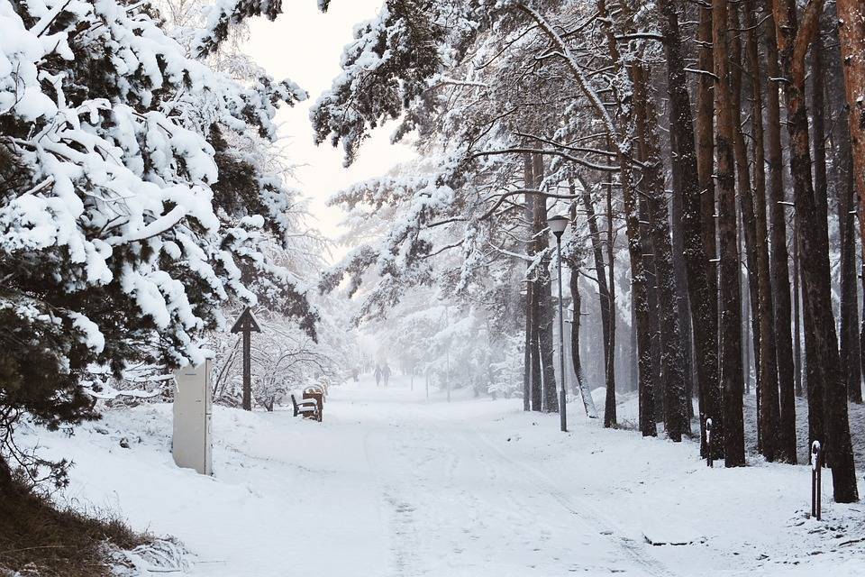 В Литве из-за снегопада более 18 тысяч домов остались без света