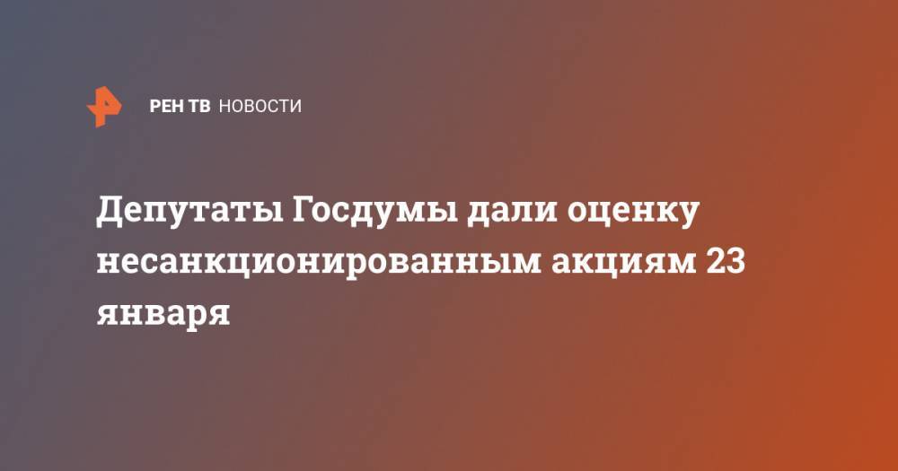 Депутаты Госдумы дали оценку несанкционированным акциям 23 января