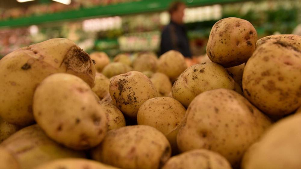 Фермер раскритиковал идею о введении в продажу картофеля "экономкласса"
