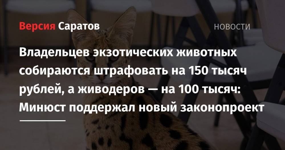 Владельцев экзотических животных собираются штрафовать на 150 тысяч рублей, а живодеров — на 100 тысяч: Минюст поддержал новый законопроект