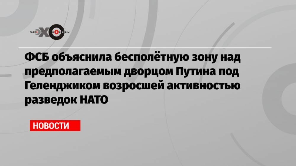 ФСБ объяснила бесполётную зону над предполагаемым дворцом Путина под Геленджиком возросшей активностью разведок НАТО