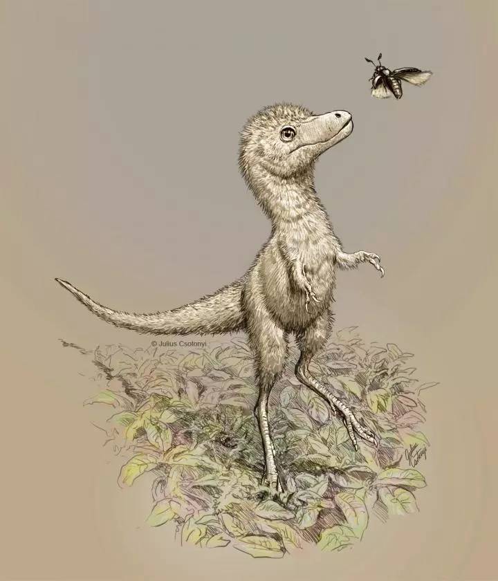 Интересный факт дня: Детеныши тираннозавров были размером с собаку