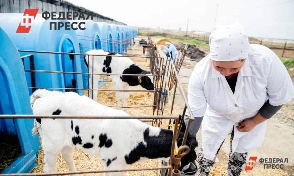 В Нижегородской области активно развивается фермерство