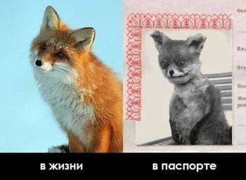 Россиянам запретили ретушировать фото на паспорт