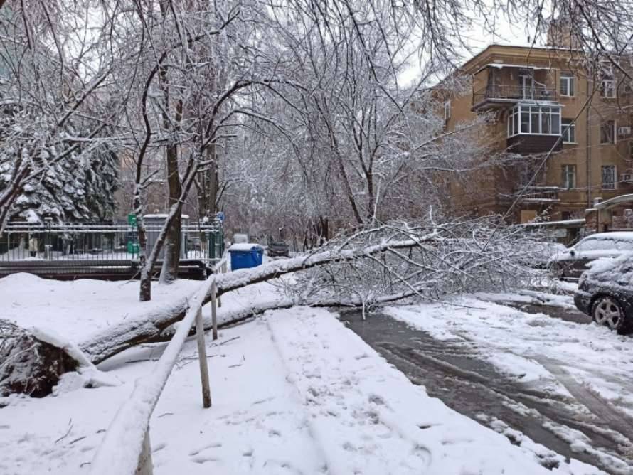 Экстремальный снегопад в Одессе нарушил работу электротранспорта (ФОТО, ВИДЕО)