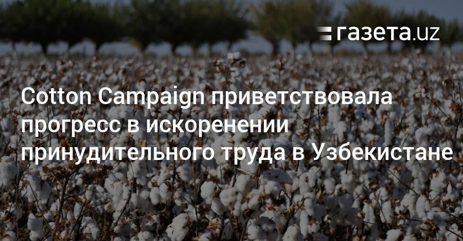 Cotton Campaign приветствовала прогресс в искоренении принудительного труда в Узбекистане