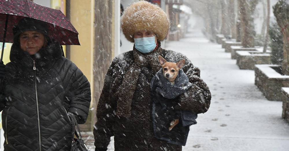 Вильфанд предрек россиянам "неоднородную" погоду в феврале