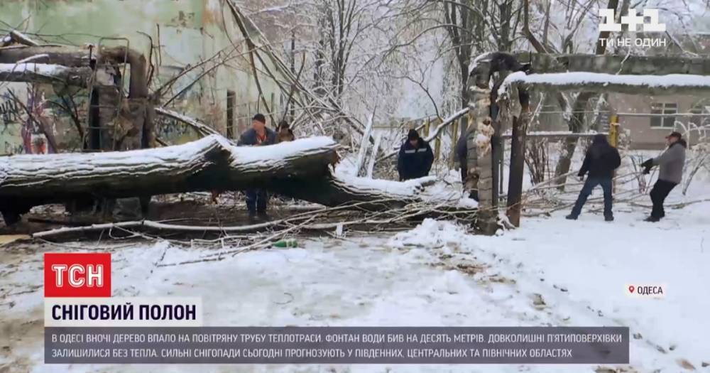 Снежный циклон в Одессе: что натворила непогода в городе (видео)