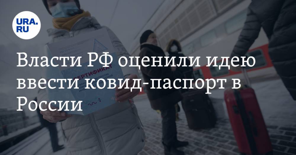 Власти РФ оценили идею ввести ковид-паспорт в России