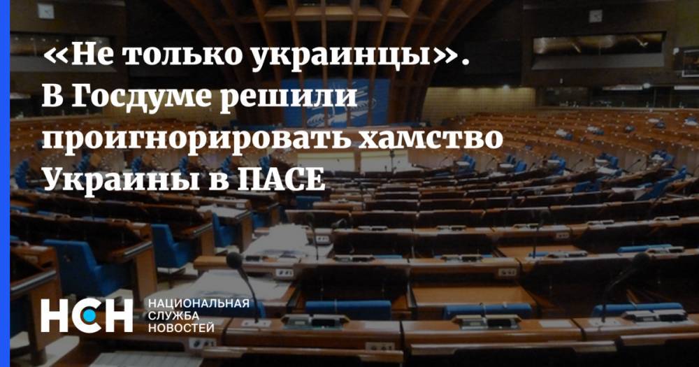 «Не только украинцы». В Госдуме решили проигнорировать хамство Украины в ПАСЕ