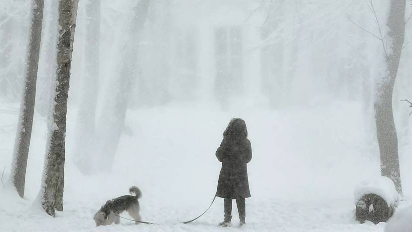 МЧС предупредило о сильном снегопаде в Ленобласти