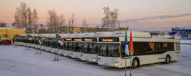 В Новосибирске не смогли выйти на маршруты новые минские автобусы